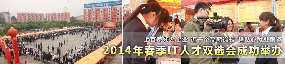 2013年大型IT人才双选会