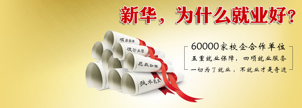新华，为什么就业好？