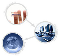 第三重创就业服务：多元化就业渠道，畅通无阻。