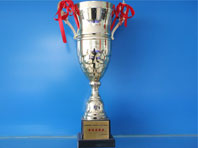 新华教育集团“奋斗的青春”杰出校友评选活动最佳成就奖