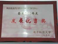 2010年度发展优秀奖