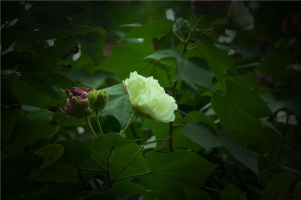 “新华·美立方”摄影大赛火热进行中