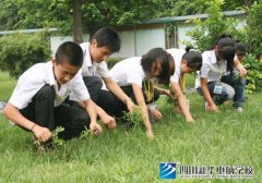 我劳动，我快乐---记四川新华新生美化校园活动