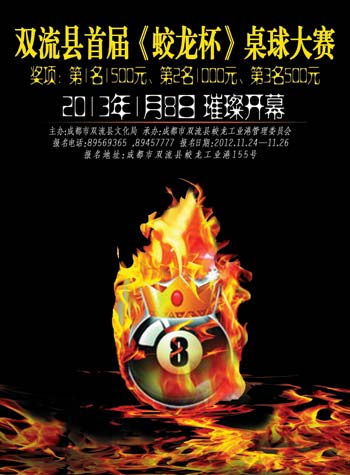 四川新华电脑学院学生作品-桌球大赛海报设计