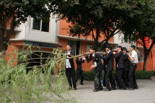 植树节，我们种下绿色和希望