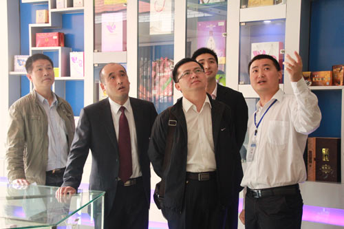 四川省人社厅马健处长、就业局吴江主任观看影视动漫专业学生作品