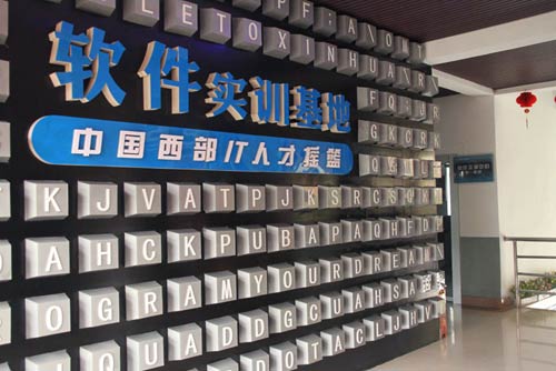 软件项目实训群