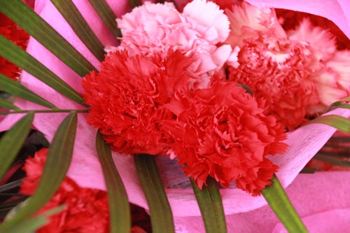 春暖新华园 欢庆三八节