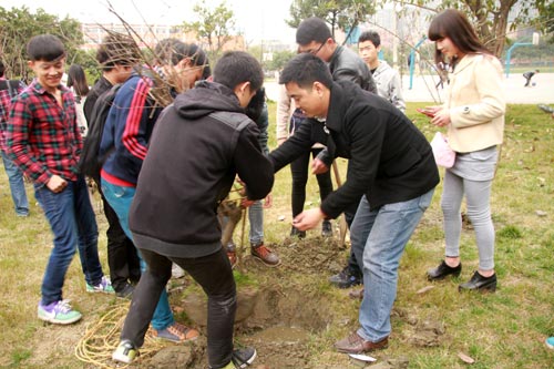 植树节:拥抱春天 播种绿色