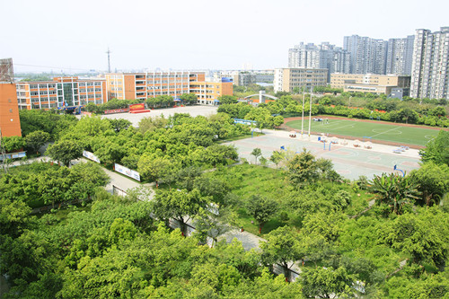 【校园赞】见证四川新华的成长