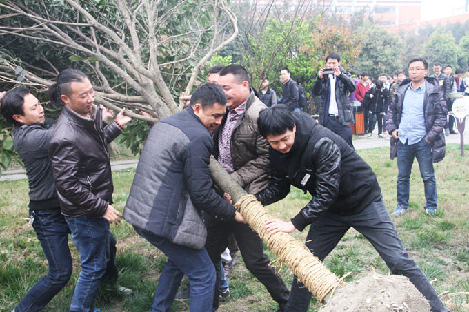 植树节：让爱与绿色传递