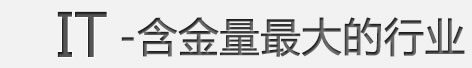 IT含金量的行业