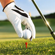 高中生学什么好