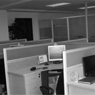 高中生学什么好