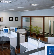 电脑行业成功几率高发展速度快