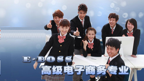 E-BOSS高级电子商务