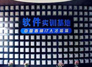 ��洫ýʵѵ����