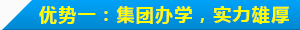 四川新华办学优势